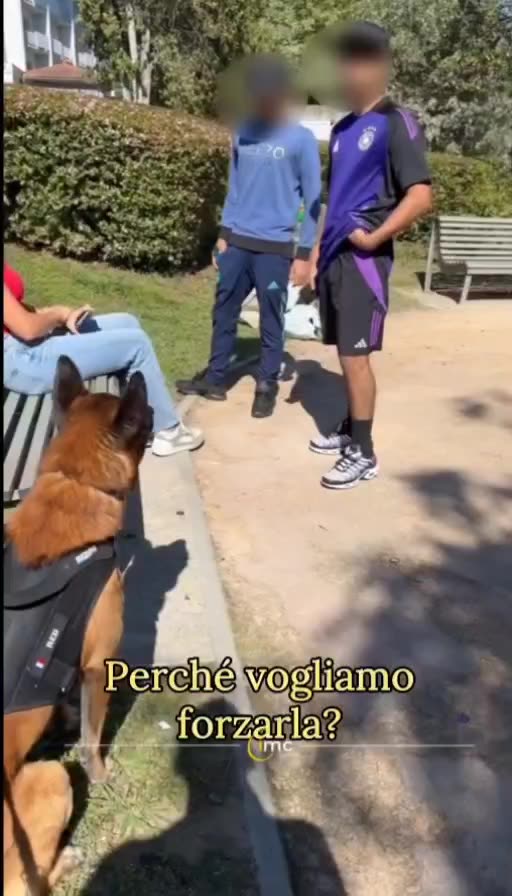 🇫🇷 Due nuovi francesi nordafricani molestano una ragazza sola al parco