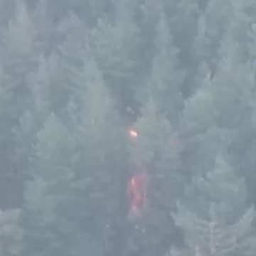 Look What We Have Here(Russian's Massive Ammo Dump Found in a Forest)