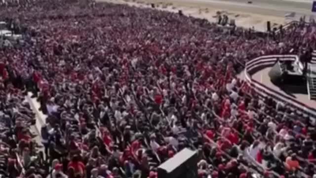 When the fake news says no one likes Mr T