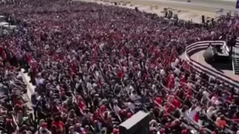 When the fake news says no one likes Mr T