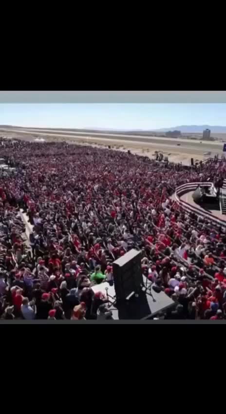 When the fake news says no one likes Mr T