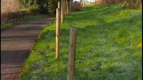 A path