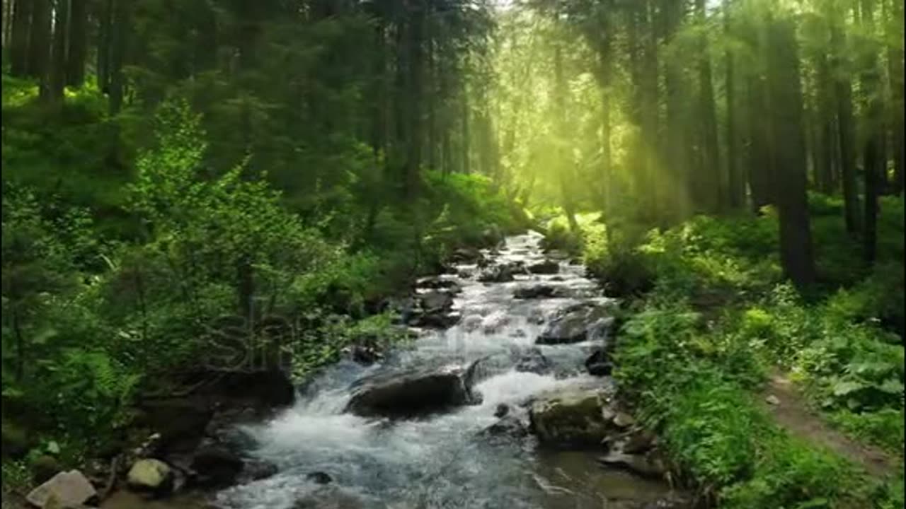 Wonders of Nature