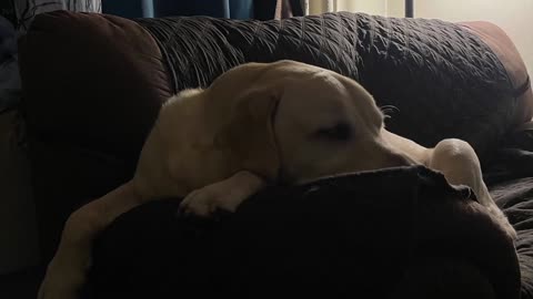 With Cooper on My 48th Birthday-Aug 28, 2023