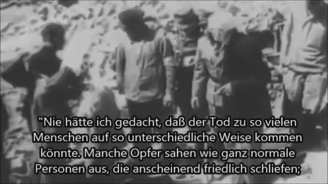 Hellstorm oder "Der Genozid am deutschen Volk" (Deutsch)