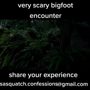 Sasquatch confession part 2
