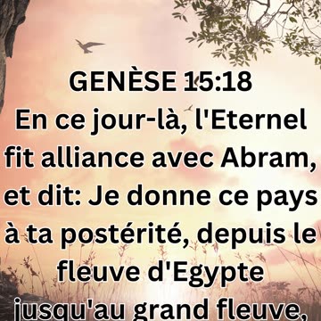 "La Promesse de l'Alliance : Genèse 15:18"