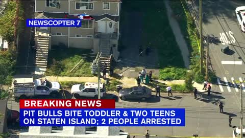 2 teens, toddler attacked by pit bulls on Staten Island