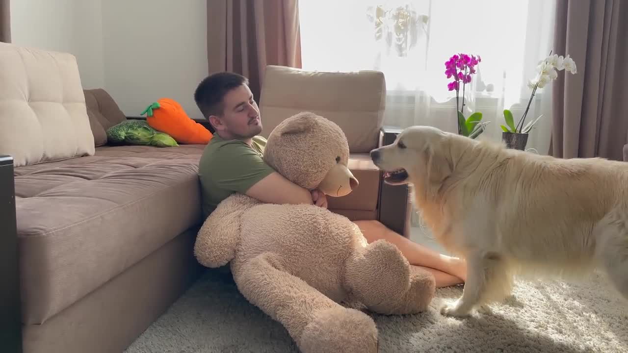 Golden Retriever doesn't want to share his toy with Me!