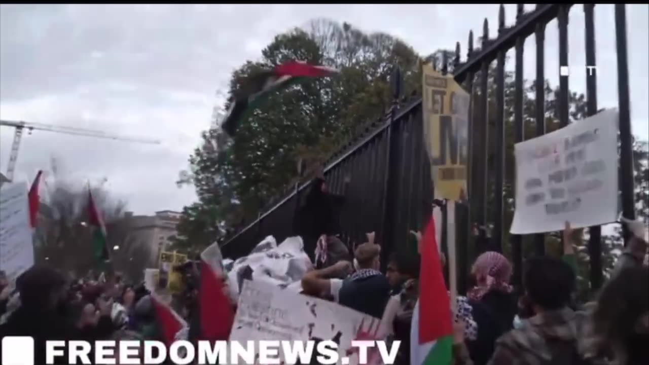 #FJB chants | white house (Small Letters😉) Pro Palestine Protestors ⚠️Language⚠️