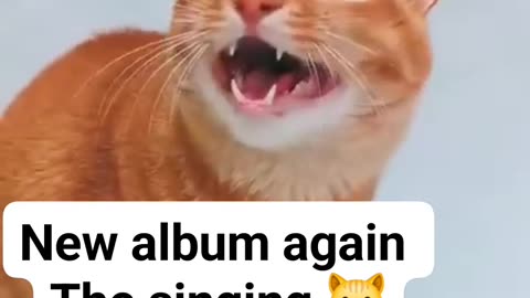 The singing cat