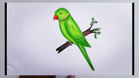 how to draw parrot easy step by step--Gali Gali Art --p1