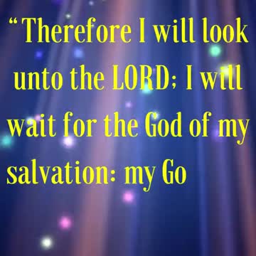 Therefore I will look unto the LORD; I will wait for the God of my salvation: my God will hear me