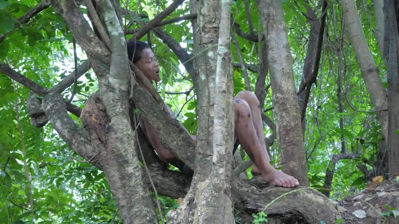 Shrimp eating in jungle, cooking on a rock | Primitive Wildlife-3