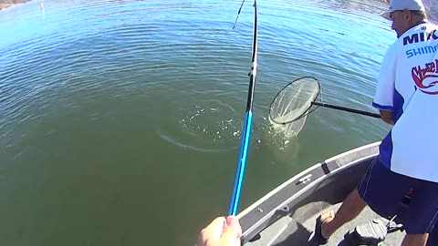 TEN + POUNDS of MEAT on Castaic Upper Lake