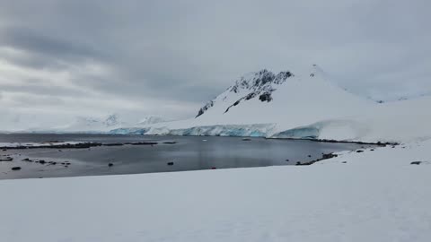 Dorian Bay, Antarctica