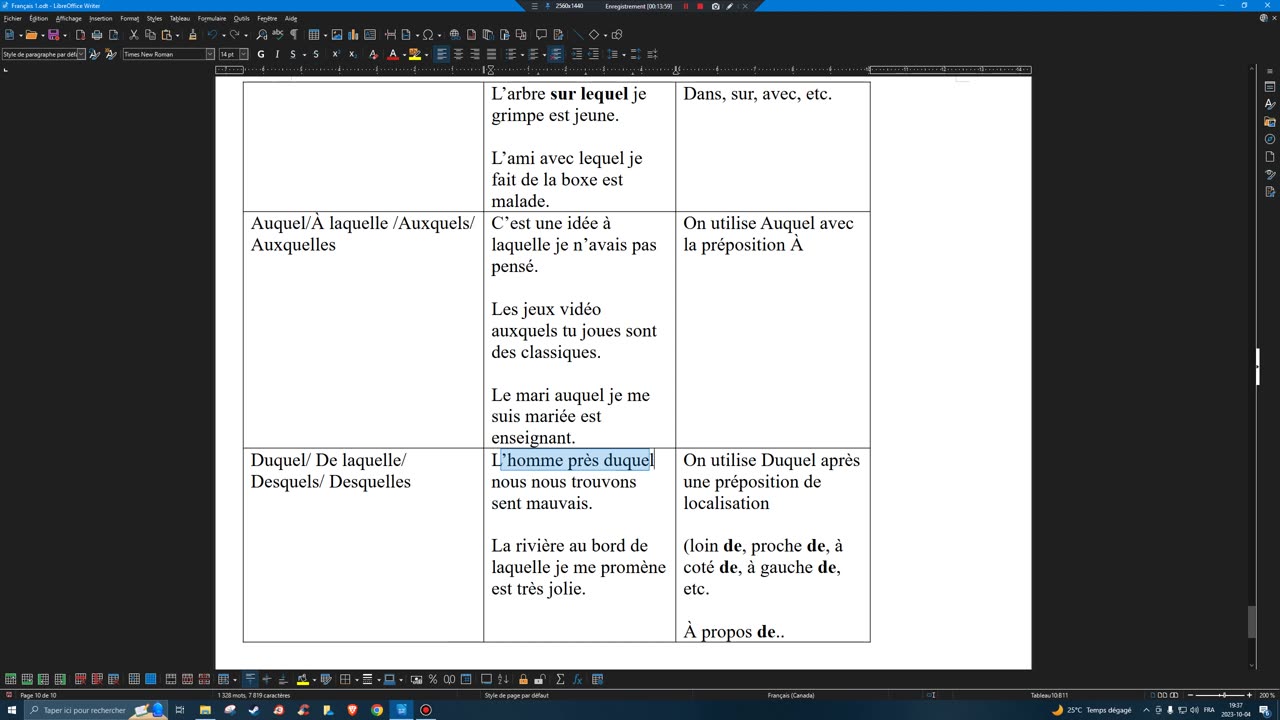 French 28 pronoms relatifs