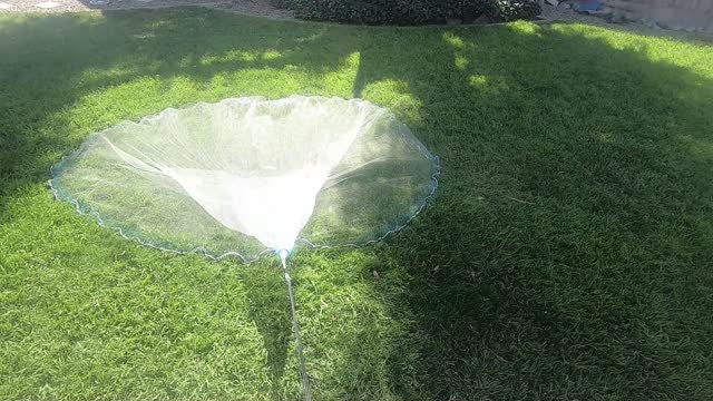 Castnet1