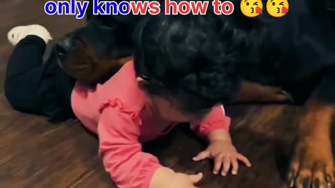 Cute baby with Rottweiler 🤍