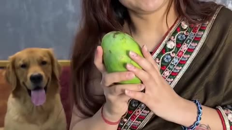 Funny mango 🥭🥭😂😂😂😂