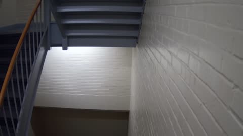 3869FHOB01Stair6_2021-01-06_07h40min00s667ms.mp4