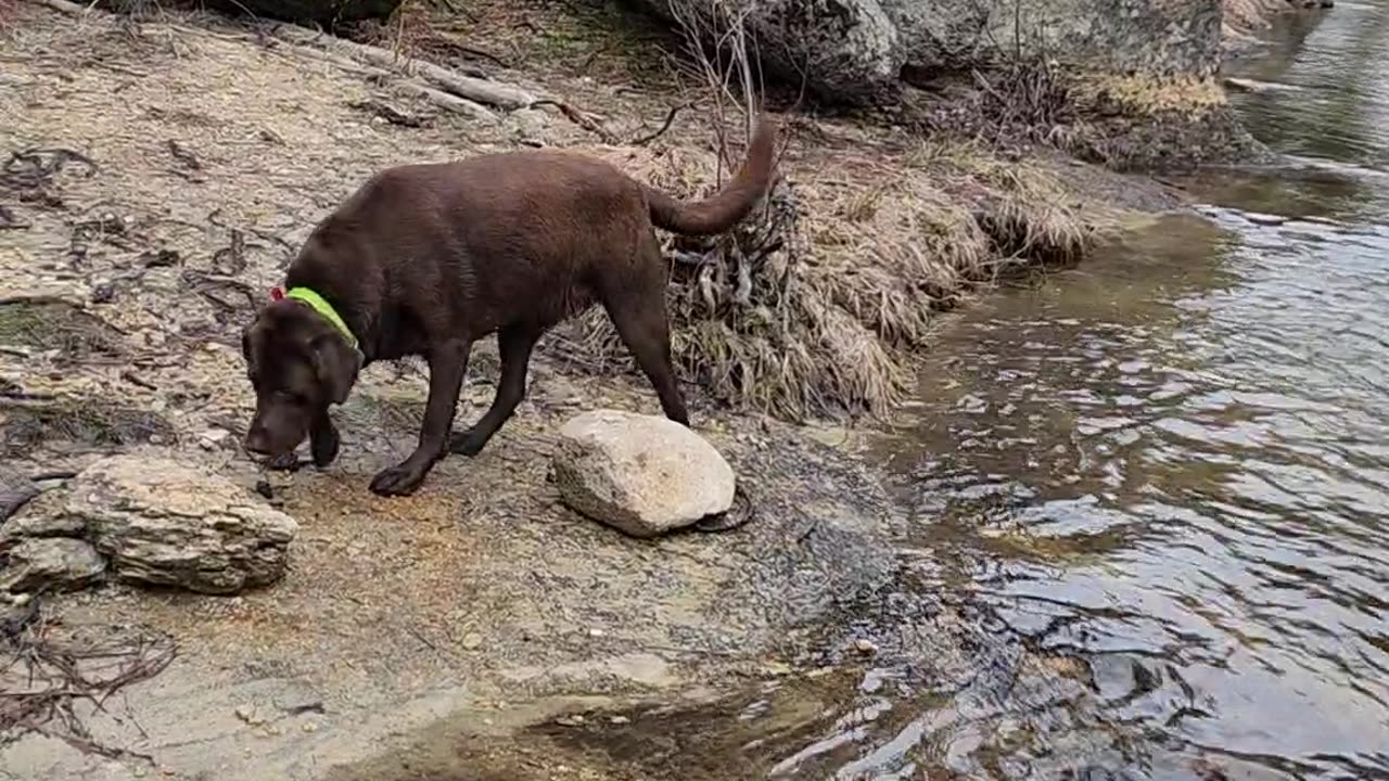 Luke the Healer venturing into the wild.