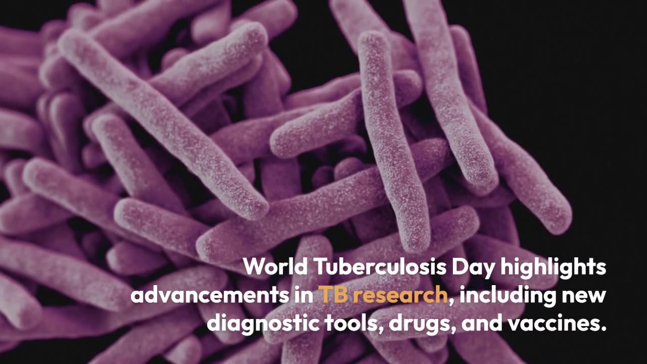 World Tuberculosis Day