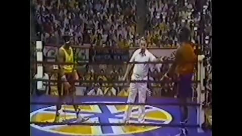 1981-84 Mike Tyson