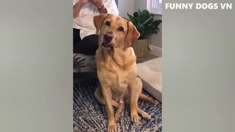 If you don't smile or laugh you are amazing