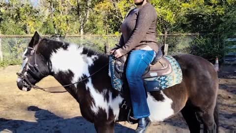 Beginner friendly Horse riding exercises for balance and control