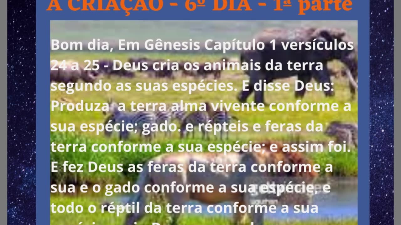 A CRIAÇÃO 6º DIA - primeira parte