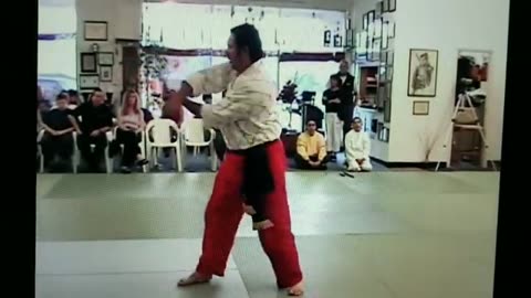 Hapkido Long Pole