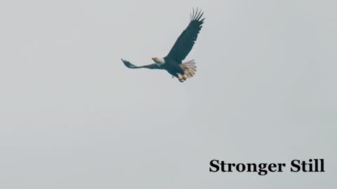 Pray USA, 6/29/23 Stronger Still