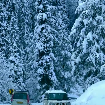 #foryou, #fyp #trending, #challenge, #viral, #funny, #dance, #duet, #lip-sync, #meme, #diy, #recipe