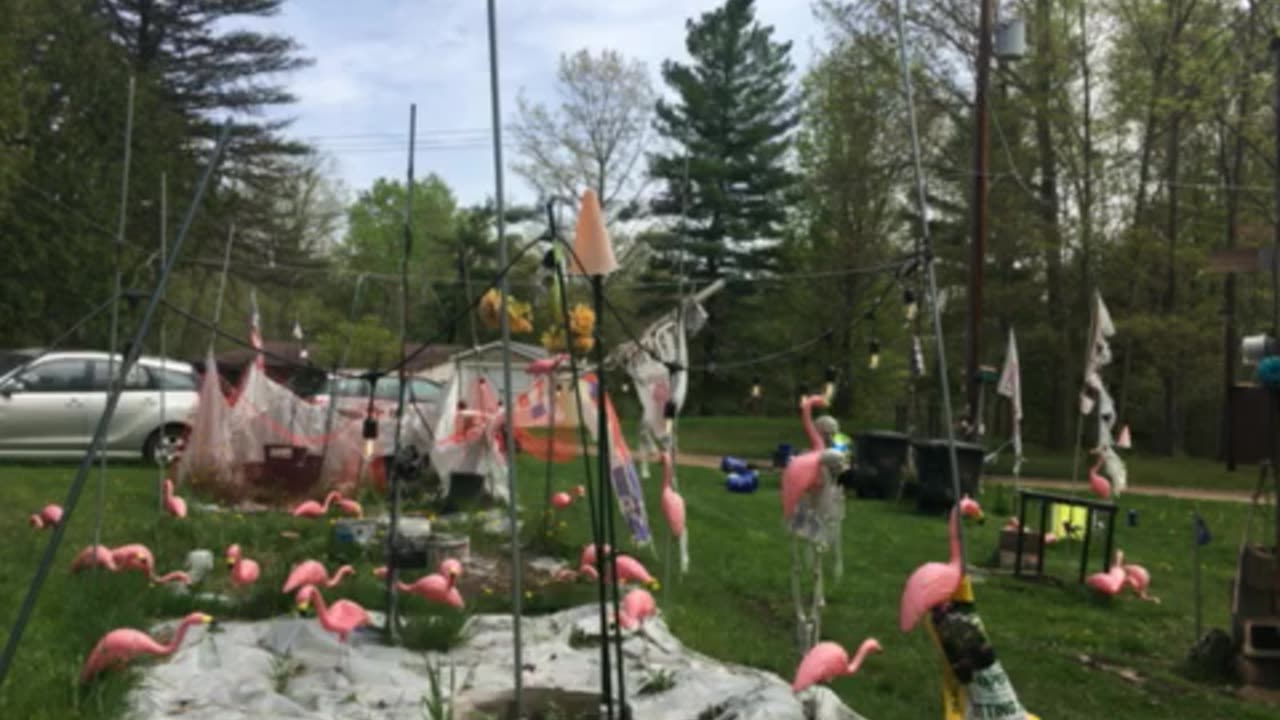 CNN & #trump2024 democrats fjb weed & mass killings