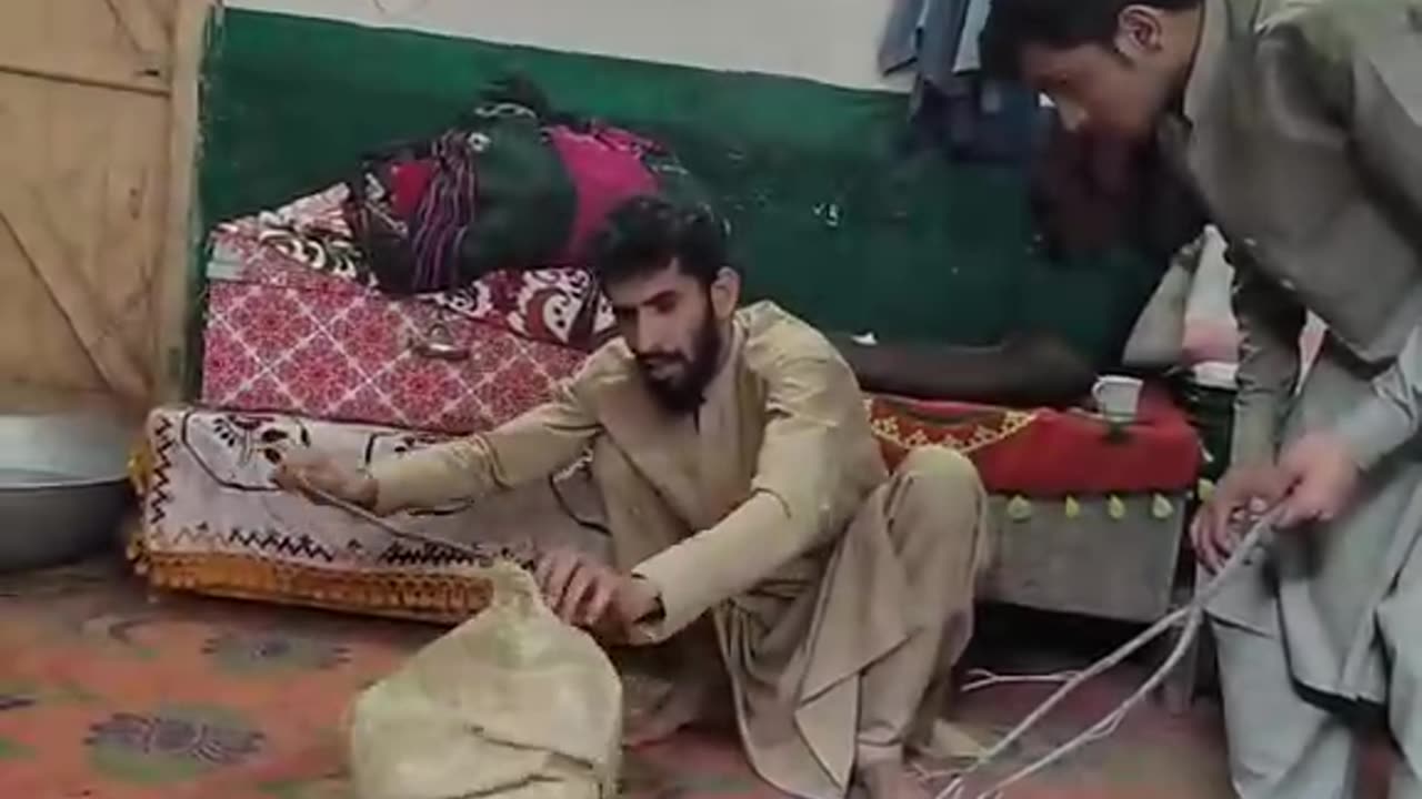 Best comedy clip very funny video