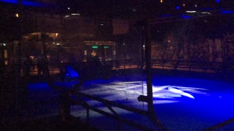 Robots Live Stevenage 2019: Manta Vs IA6