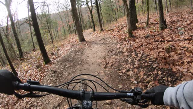 Howler MTB Park Hippy Cowboy