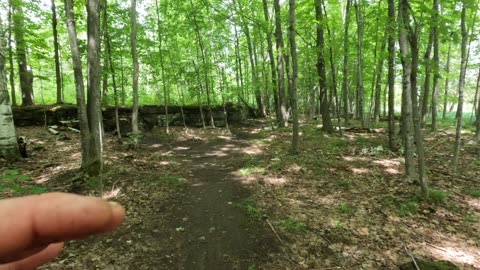 🪵🔬🧪🌴 Doing Research @ Trans Canada Trails In Ottawa Part 5 🍁 Canada 🌳