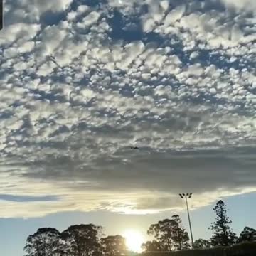 Sydney, Australia: Lockdown Terrifies Child