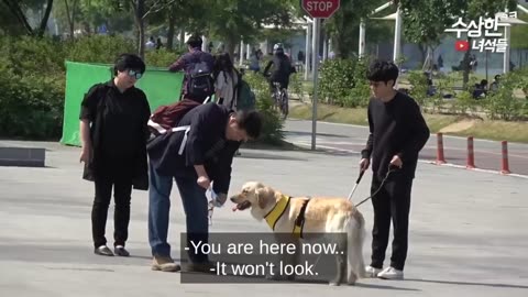 Funny Korean Pranks