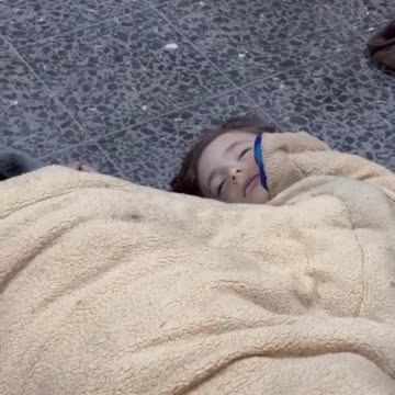 Palestinians killed in Israeli air strike on a school shelter