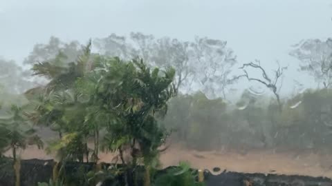 Melodic Rain: A Soothing Video of Rainfall for Relaxation and Sleep