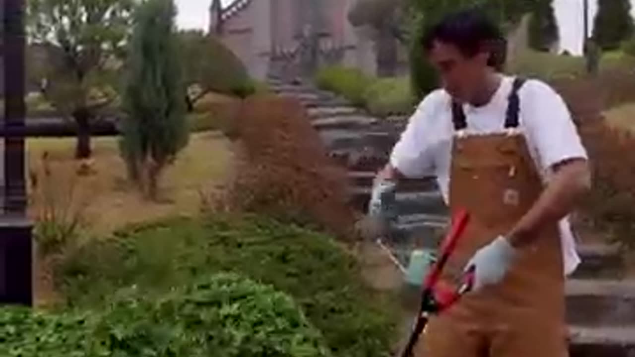 Gardening gone wrong