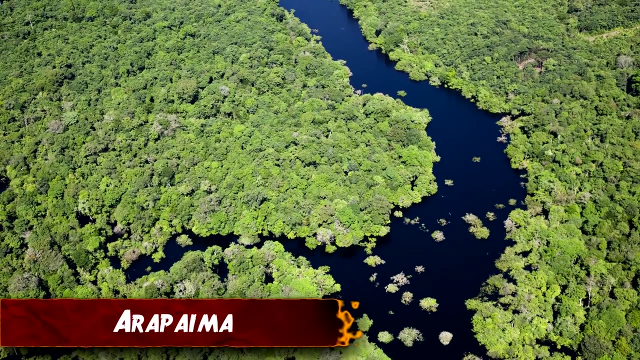 12 BIZARRE DISCOVERIES IN THE AMAZON