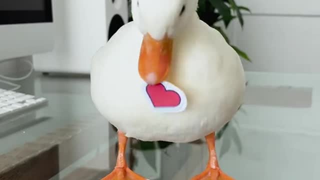 When you make a gift for someone but they don’t like it
