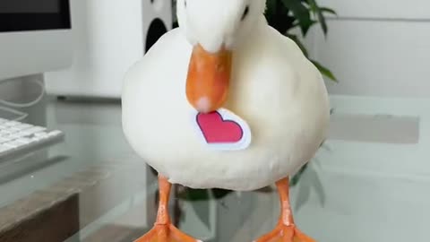 When you make a gift for someone but they don’t like it