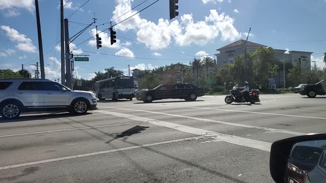 Chief Sniffer crossed my path today in Dania Beach. FL.