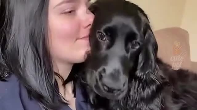 How much your dog loves you