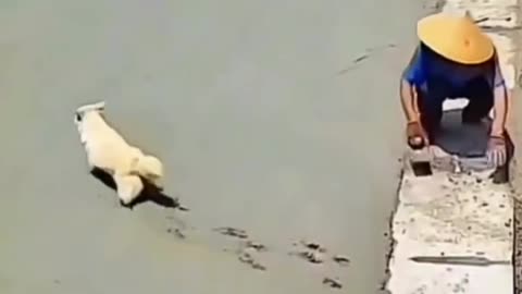 Funniest video!!